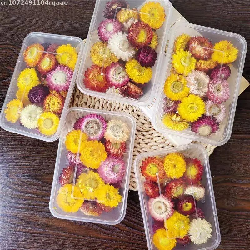 زهور مجففة طبيعية 100% من نوع  - مراجعة Candle Making Material Wholesale وسعره
